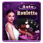 Pengalaman Bingo online di Sule77 – antarmuka permainan seru dengan komunitas pemain aktif